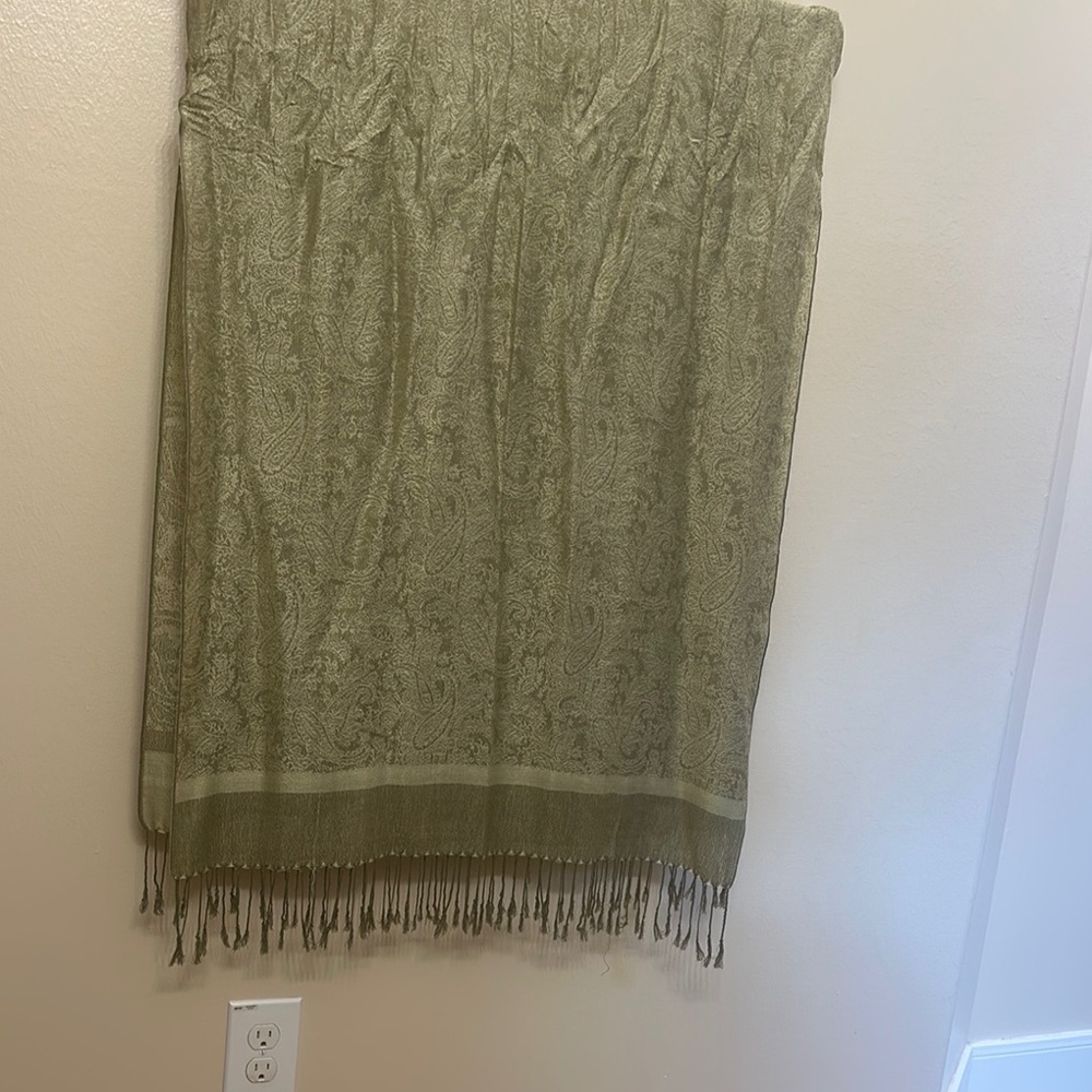 Elegant Green Paisley pashmina
